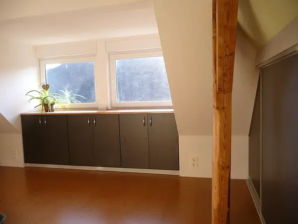 Lichtdurchfluteter Dachboden mit modernen Einbauschränken und dekorativer Zimmerpflanze.